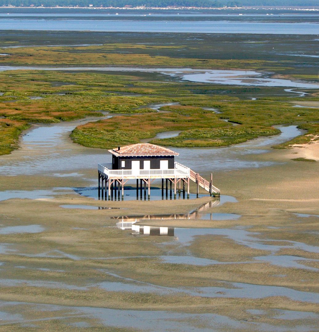 Cabane tchanquée sur pilotis à marée basse, sur le Bassin d'Arcachon